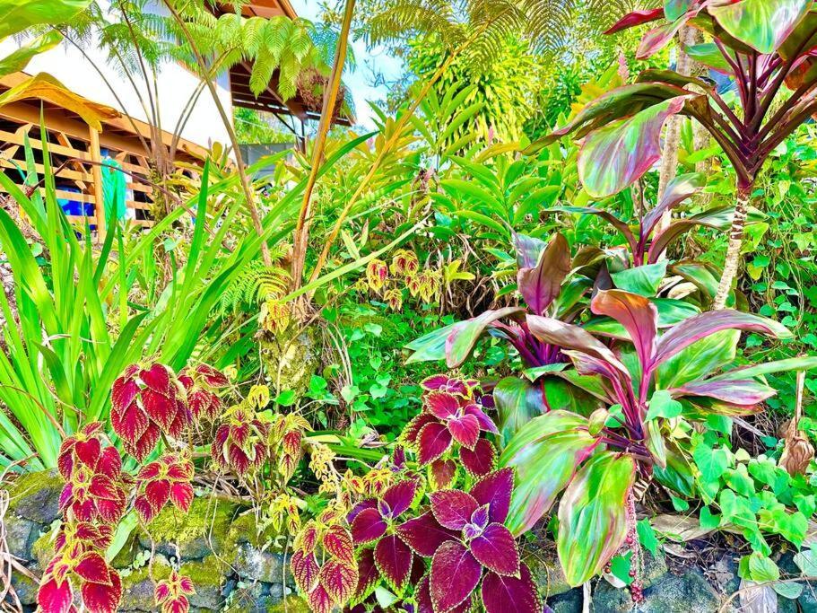 Puna Zen Botanical Garden Retreat Кио Экстерьер фото